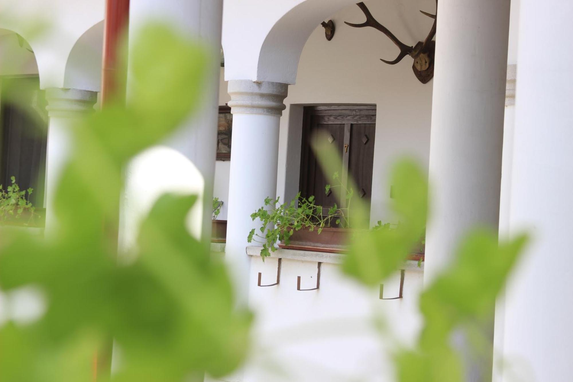 Eden Panzio Bed & Breakfast Eger Exterior photo